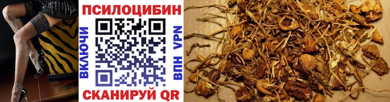 Псилоцибиновые грибы ЛСД  Купить закладки  Дагестанские Огни 